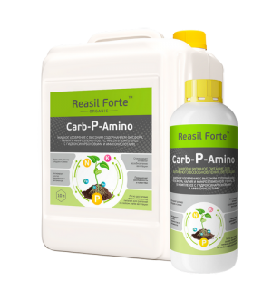 Reasil Forte Carb-P-Amino - жидкое удобрение с высоким содержанием Фосфора, 10л