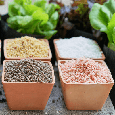 Минеральное питание растений